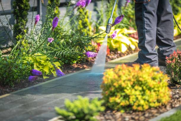 Best Driveway Pressure Washing  in Five Points, NC