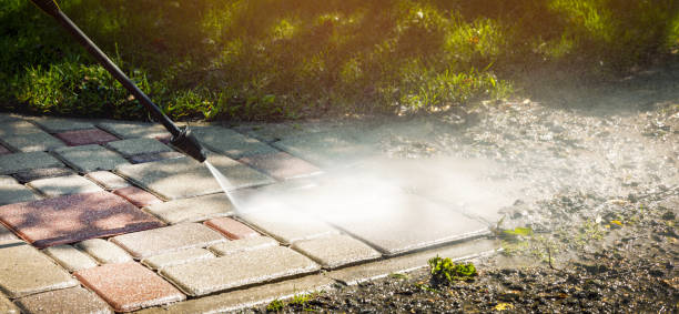 Best Roof Washing  in Five Points, NC